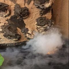 Vỉ Phun Sương 3 Mắt Bằng Sóng Siêu Âm 65W Kèm Theo Bộ Nguồn 220V AC 36V