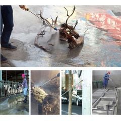 Đầu Xịt Rửa Xe Xoay Cao Áp 250 Bar