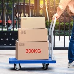 Xe Đẩy Hàng 4 Bánh 300kg Sàn Nhựa Cao Cấp