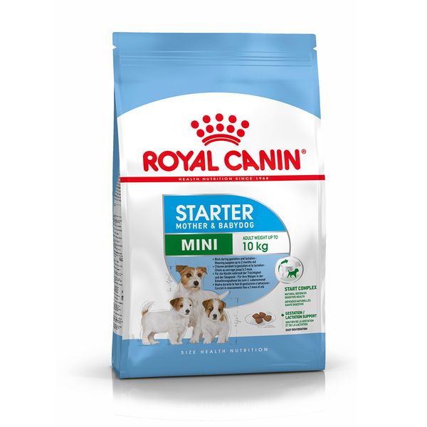  Mini Starter Royal Canin - Hạt cho chó mẹ và chó con 1KG 
