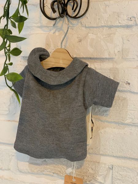  Áo Grey Neck T-shirt Cho Thú Cưng I Am Dog 