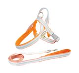  Yếm đeo ngực kèm dây dắt cún Tagoon 