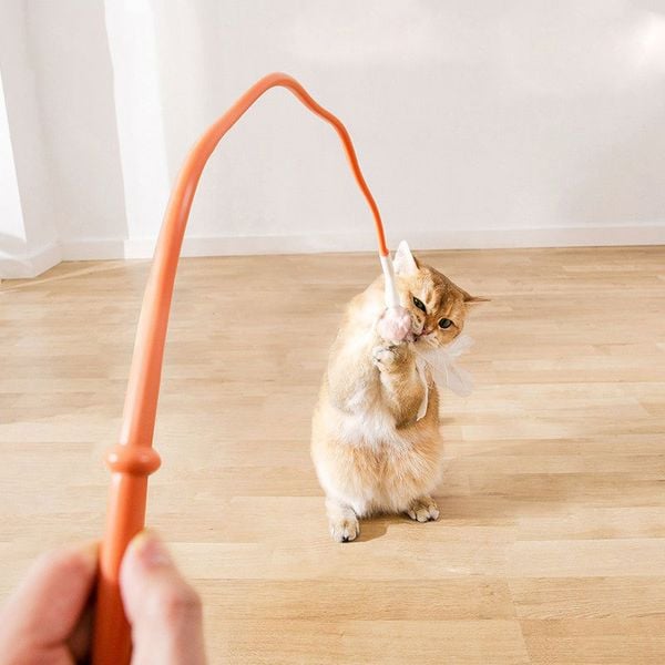  Gậy chọc mèo thanh dài 54cm 