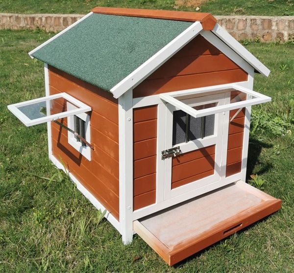  Chuồng gỗ ngôi nhà cho chó 