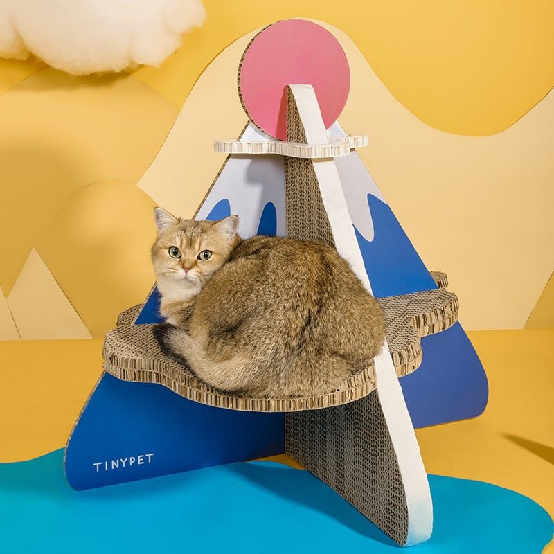  Bàn cào núi Fuji PetBuddy 