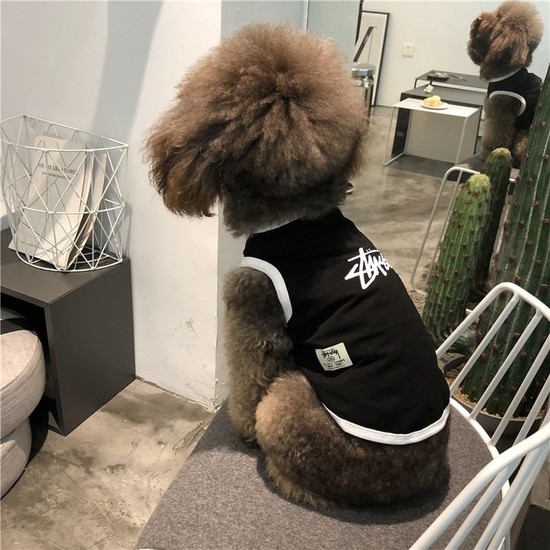  Áo thun Stussy cho thú cưng 
