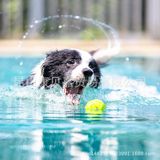  Đồ chơi Gigwi nhựa bóng hồng G-Foamer 