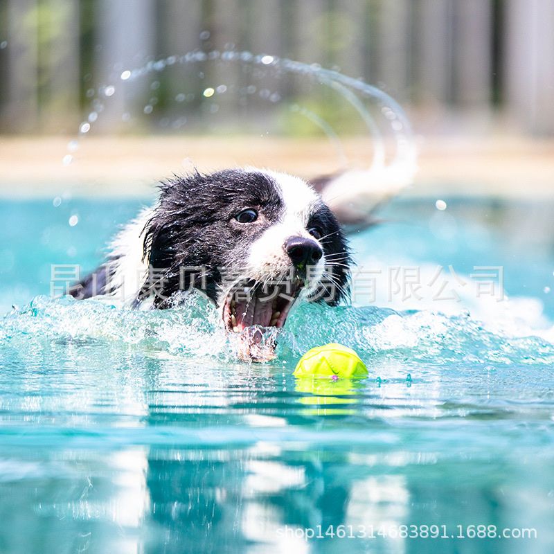  Đồ chơi Gigwi nhựa bóng hồng G-Foamer 