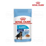  Pate cho chó con size Maxi Royal Canin 