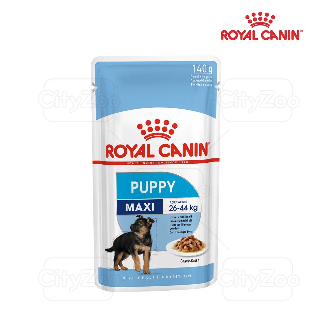  Pate cho chó con size Maxi Royal Canin 