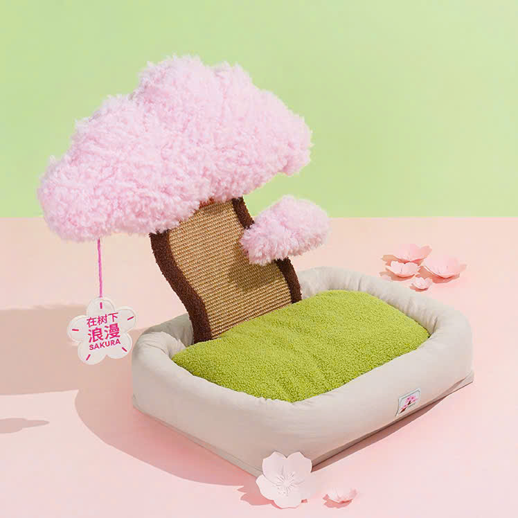  Catree Hoa anh đào Pot Plant Bed cho mèo 