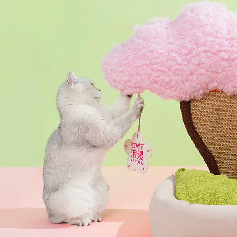 Catree Hoa anh đào Pot Plant Bed cho mèo 