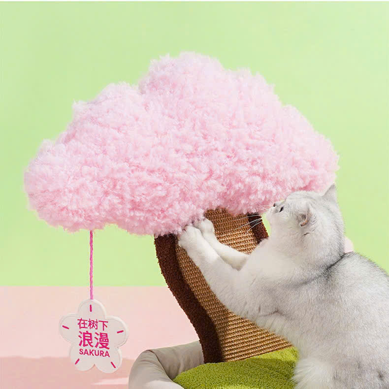  Catree Hoa anh đào Pot Plant Bed cho mèo 