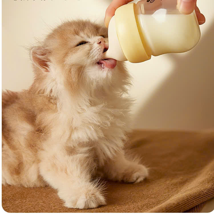  Bình uống sữa cho chó mèo con 