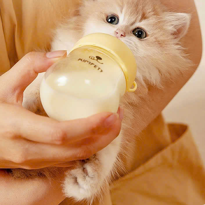  Bình uống sữa cho chó mèo con 