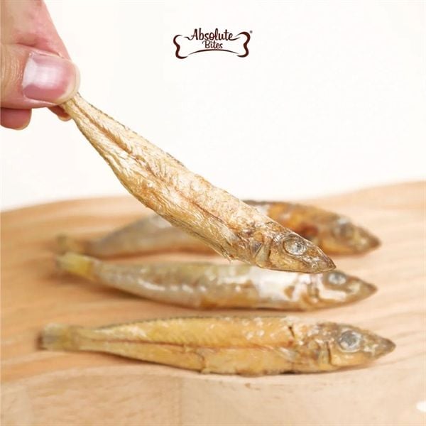  Snack cho chó mèo Absolute Bites 