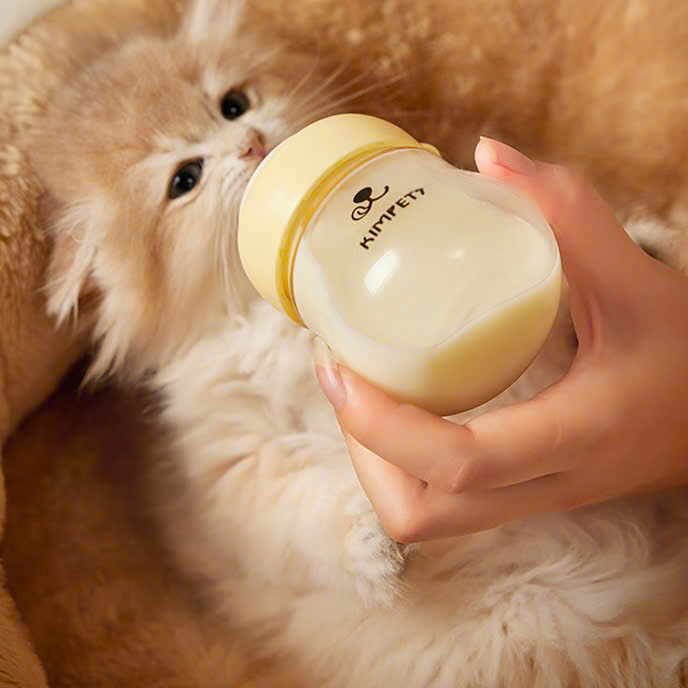 Bình uống sữa cho chó mèo con 