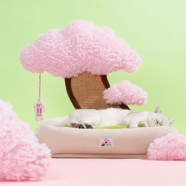  Catree Hoa anh đào Pot Plant Bed cho mèo 