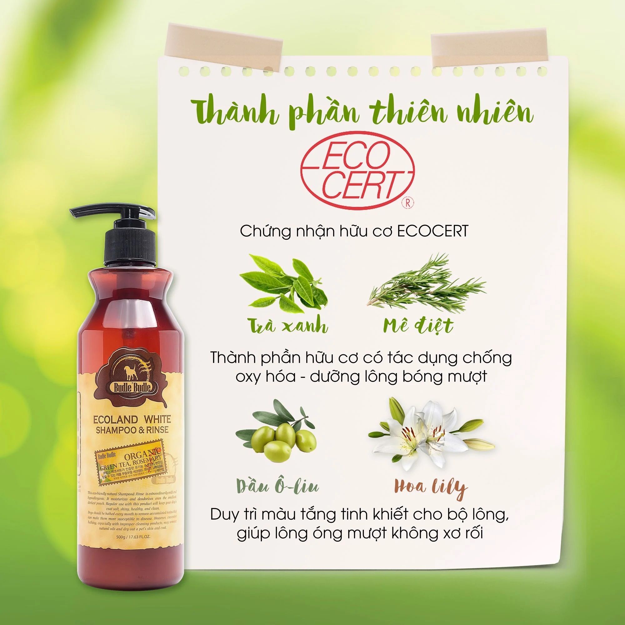  Dầu gội và xả cho chó lông trắng Budle'Budle - 500ml 