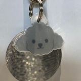  Nametag Poodle Của Chó (Nhựa) 