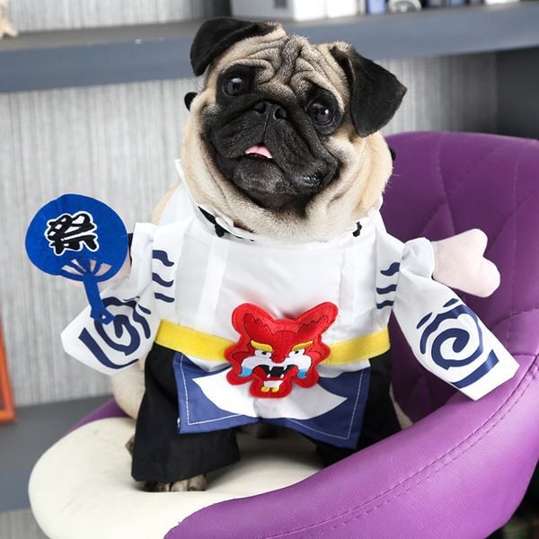  Đồ hoá trang múa lân 