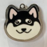  Nametag Alaska Của Chó (Inox) 