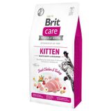  Hạt Brit Care Cat Grain-Free KITTEN 