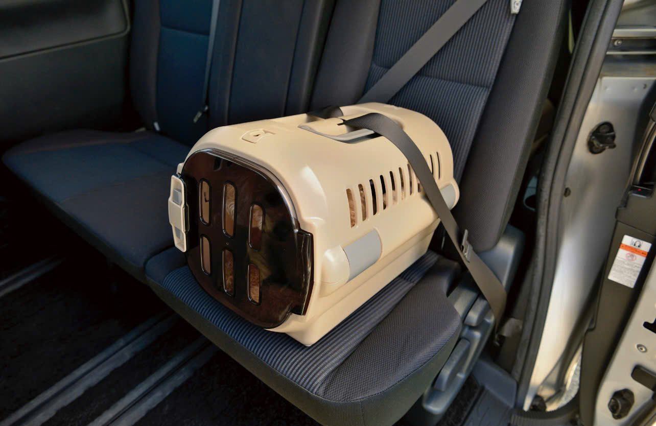  Lồng vận chuyển thú cưng size M Richell 