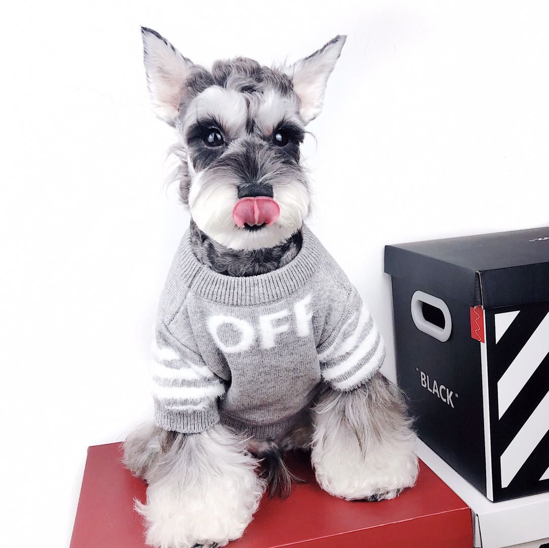  Áo len Off-white cho thú cưng 