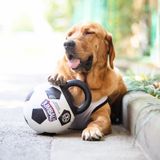  Đồ chơi gặm bóng Gigwi dành cho chó 