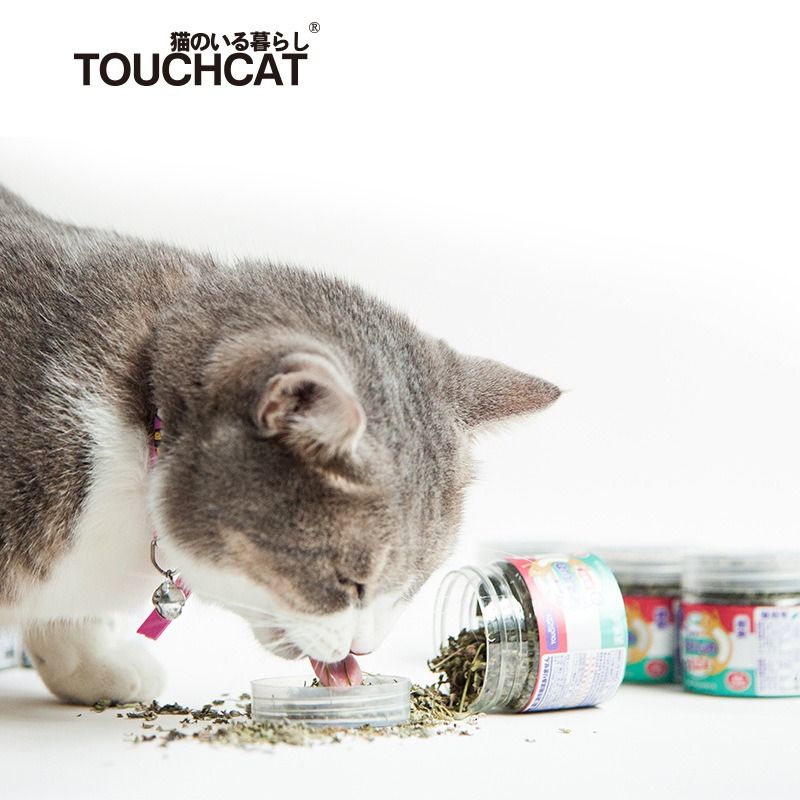  Catnip hủ 6gram Touchcat 