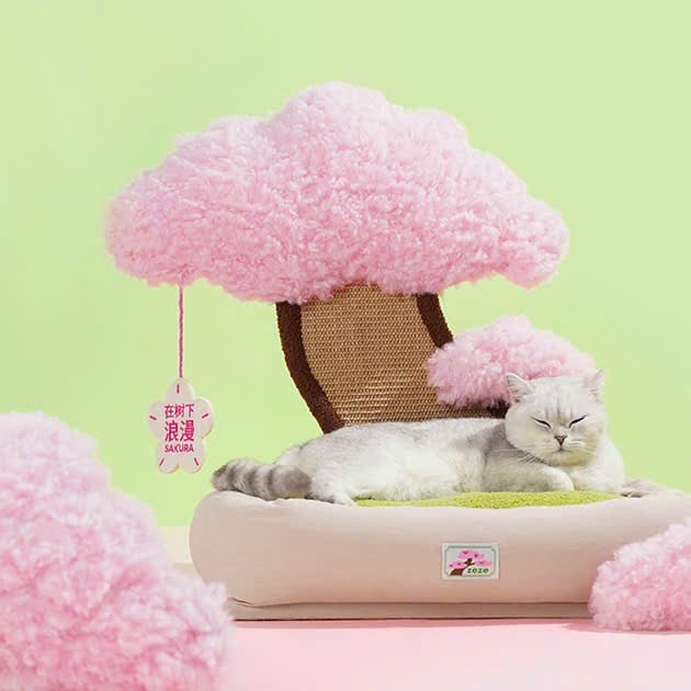  Catree Hoa anh đào Pot Plant Bed cho mèo 