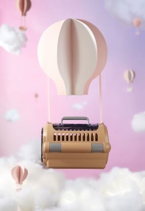  Lồng vận chuyển thú cưng 2 cửa size M Richell 