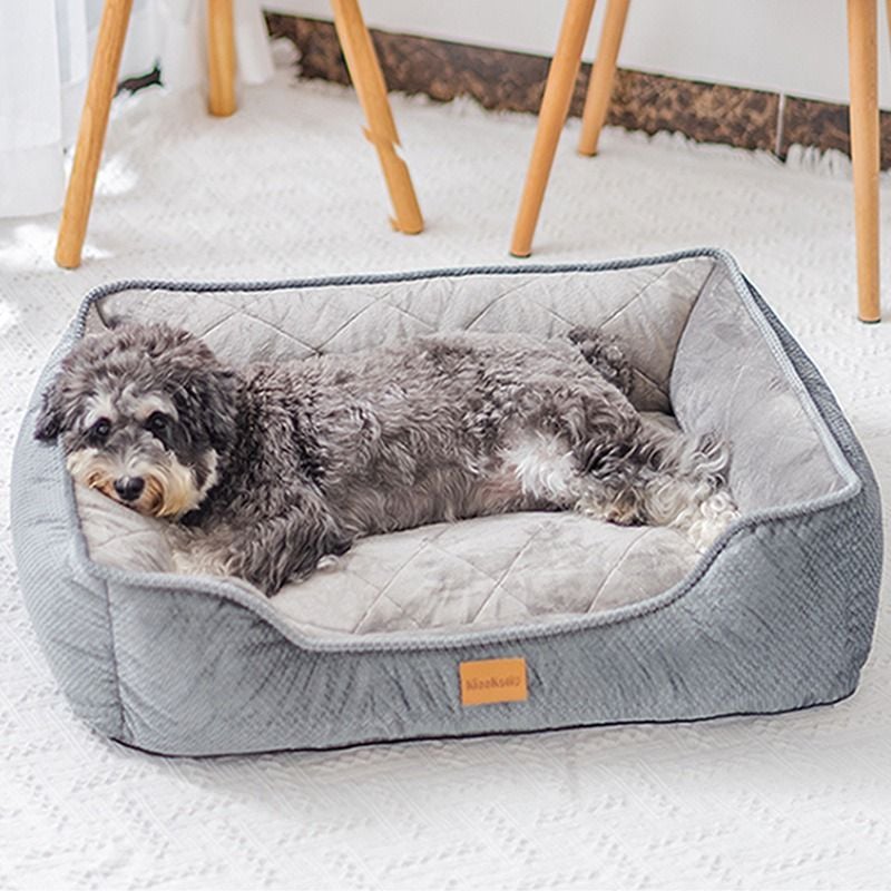  Nệm vuông Dogtalk nhiều màu 