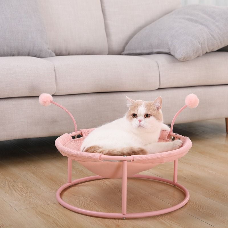  Võng cho thú cưng kèm đồ chơi 