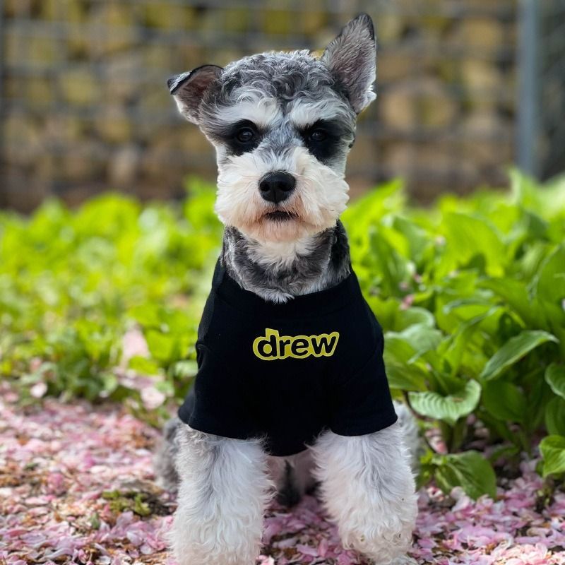  Áo thun Drew cho thú cưng 