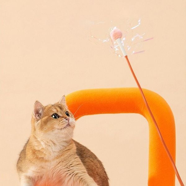  Gậy chọc mèo thanh dài 54cm 