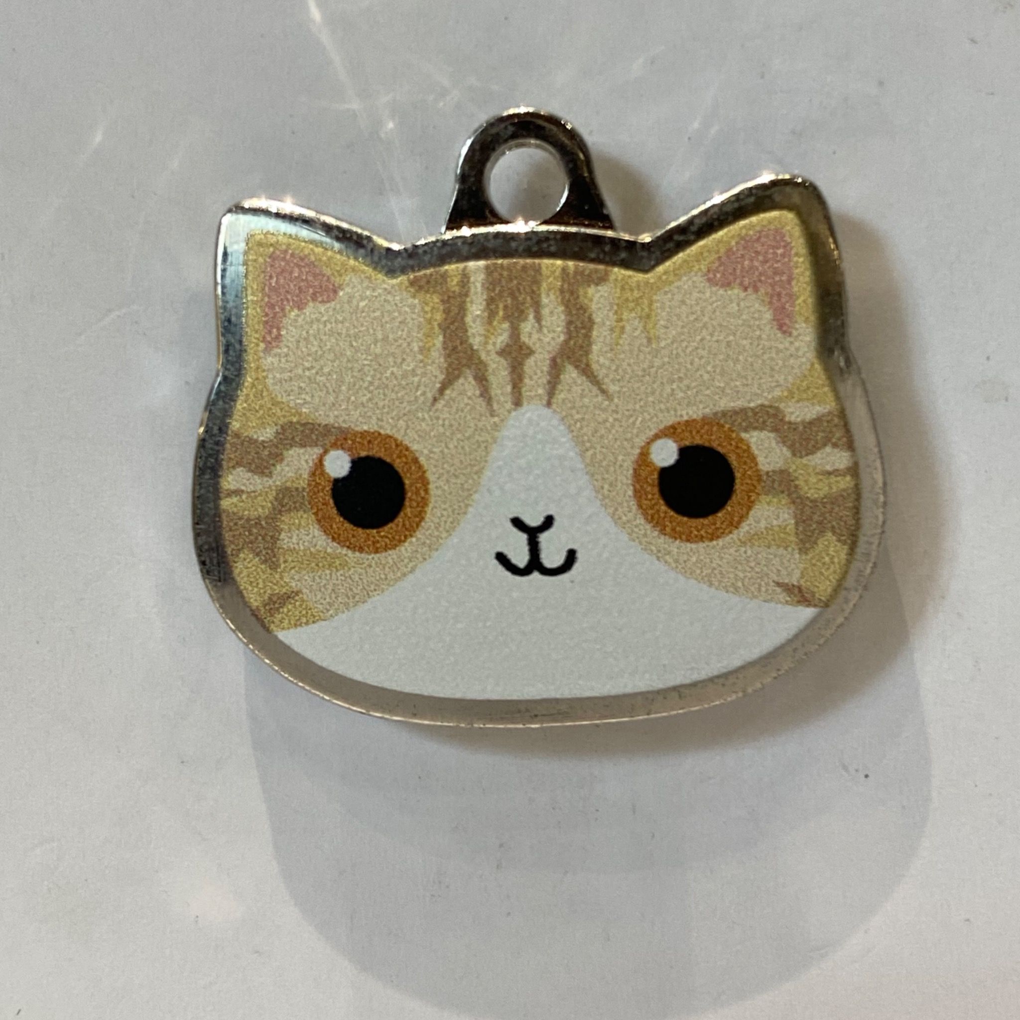  Nametag Tabby Của Mèo (Inox) 