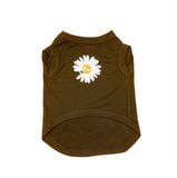  Áo thun Daisy cho thú cưng 