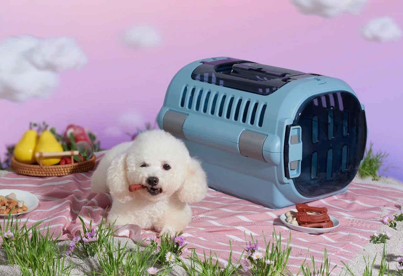  Lồng vận chuyển thú cưng 2 cửa size M Richell 