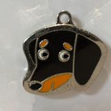  Nametag Lạp Xưởng Của Chó (Inox) 