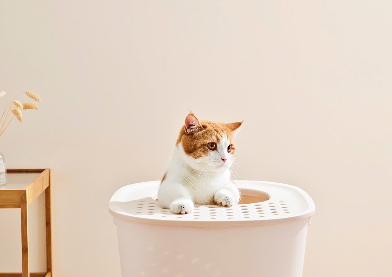  Nhà vệ sinh cho mèo cửa trên cho mèo kèm xẻng Richell 