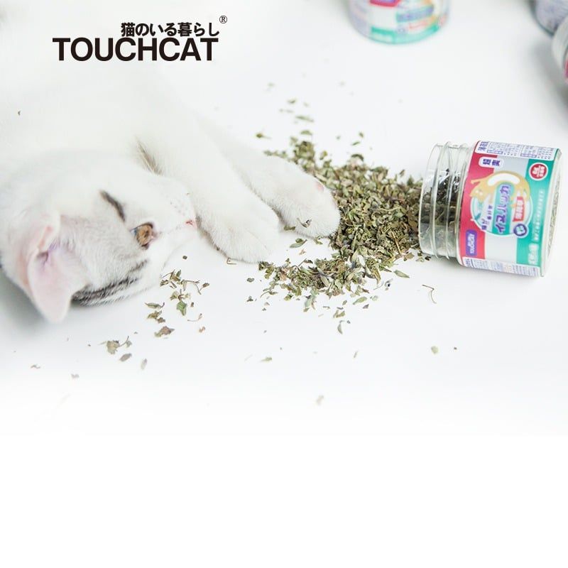  Catnip hủ 6gram Touchcat 