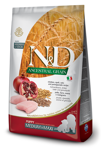  Hạt N&D ANCESTRAL GRAIN cho chó 2.5KG 