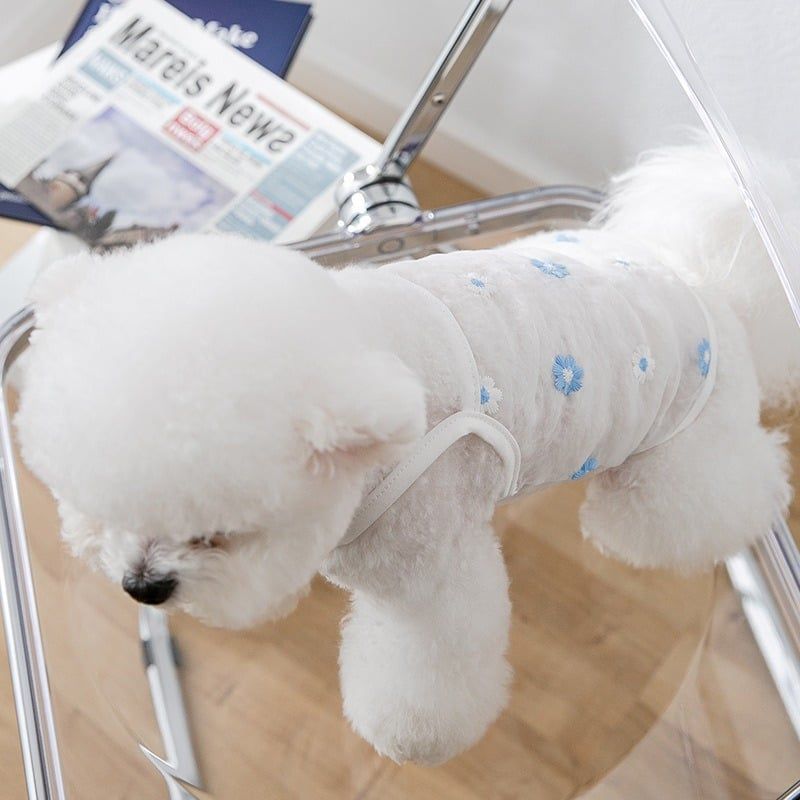  Áo lưới hoa trắng xanh 