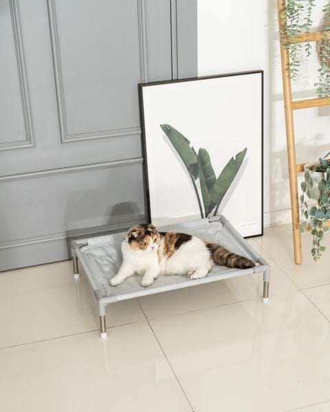  Giường thảm nằm mát cho chó mèo Dfang 