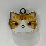  Nametag Tabby Của Mèo (Inox) 