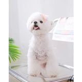  Áo lưới hoa trắng 