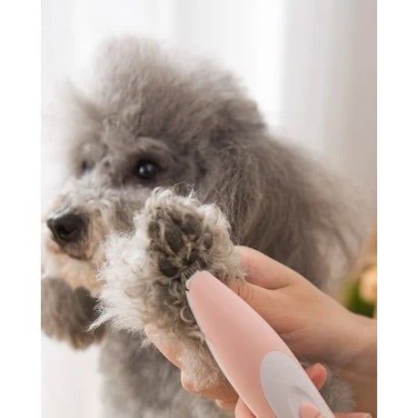  Tông đơ cạo lông bàn chân chó mèo nhiều màu Trimmer Pet 