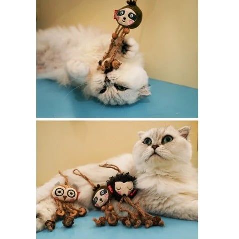  Đồ chơi Gigwi dành cho mèo Eco 